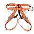 Safety Belts