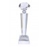 Crystal Trophy