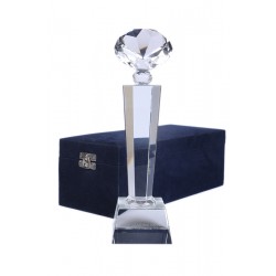 Customized Crystal Trophy with velvet box