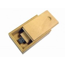 USB in Wooden Box